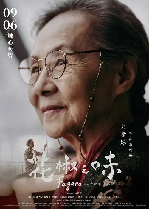 飞马影院成长国漫纸鸢少年海报